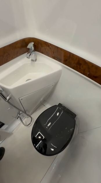 Caravan sink with WC